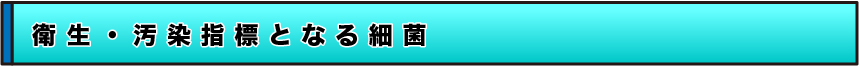 臨床検査、食品・環境検査、株式会社武蔵臨床検査所/食品・環境部門/衛生・汚染指標となる細菌