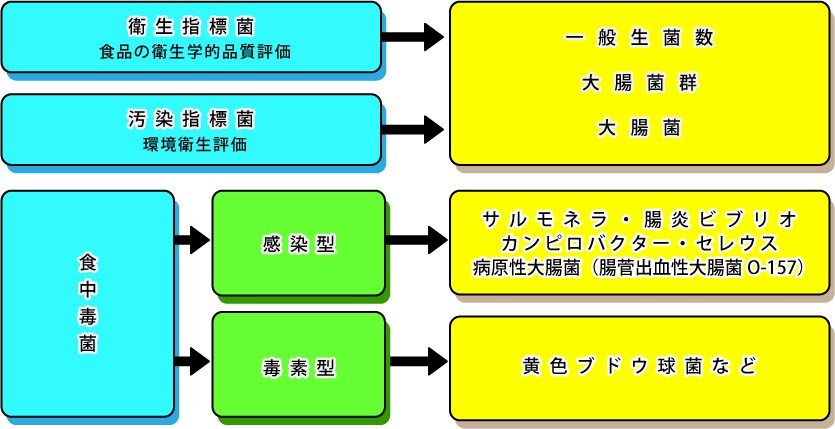 臨床検査、食品・環境検査、株式会社武蔵臨床検査所/食品部門/食品微生物検査図